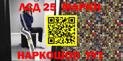 Альфа ПВП Кандалакша