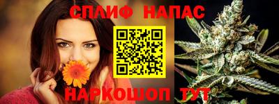 Альфа ПВП Кандалакша