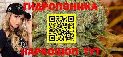 Альфа ПВП Кандалакша