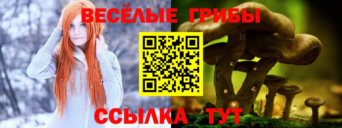 Галлюциногенные грибы GOLDEN TEACHER  где купить наркоту  Псилоцибиновые грибы MAGIC MUSHROOMS  Верхний Уфалей  Вход с VPN 